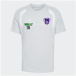 VfL Pirna Copitz Jersey Kinder grau/weiss