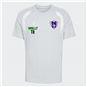 VfL Pirna Copitz Jersey Kinder grau/weiss