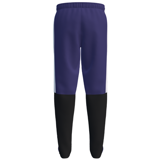 VfL Pirna Copitz Präsentationshose TEAM Unisex lila/weiß
