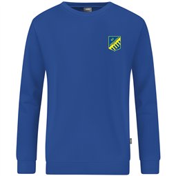 SV Oberschöna Pullover Unisex