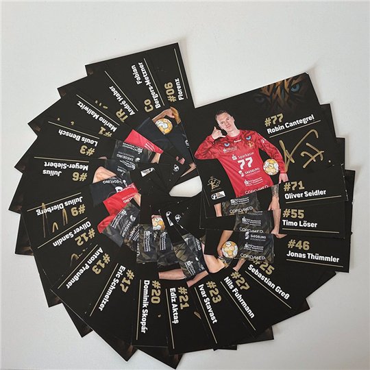 HCE Autogrammkarten Set 26/27
