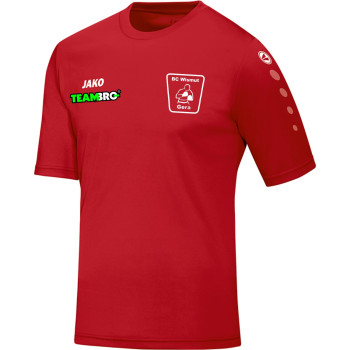 JAKO Trikot Team KA Junior
