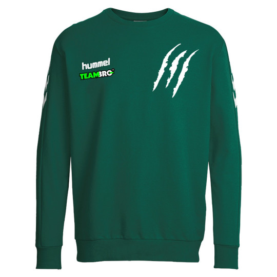 HSG Freiberg Baumwoll Pullover Junior