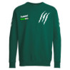 HSG Freiberg Baumwoll Pullover Junior