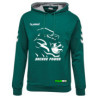HSG Freiberg Dachsepower Hoodie Unisex grün