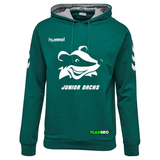 HSG Freiberg Juniordachs Hoodie Unisex grün