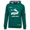 HSG Freiberg Juniordachs Hoodie Unisex grün
