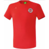 SV Heinrichsort/Rödlitz Essential Teamsportshirt Unisex