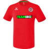 SV Heinrichsort/Rödlitz Liga Trikot Junior