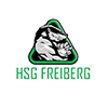 HSG Freiberg