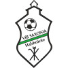 VfB Saxonia Halsbrücke