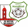 HSG Weißeritztal 