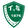 TuS 1875 Großschirma