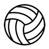 Volleybälle